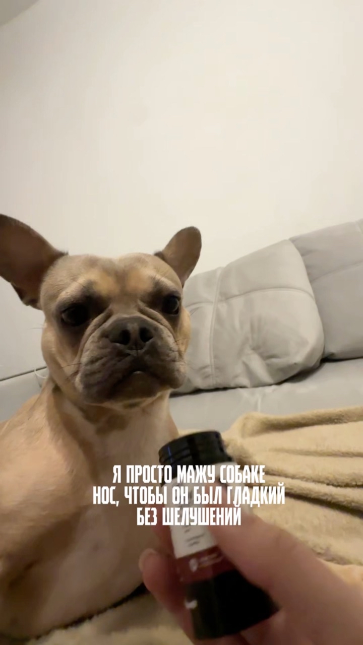Зина и Майки in LOOKY. #276247301. Зато носик будет кра...