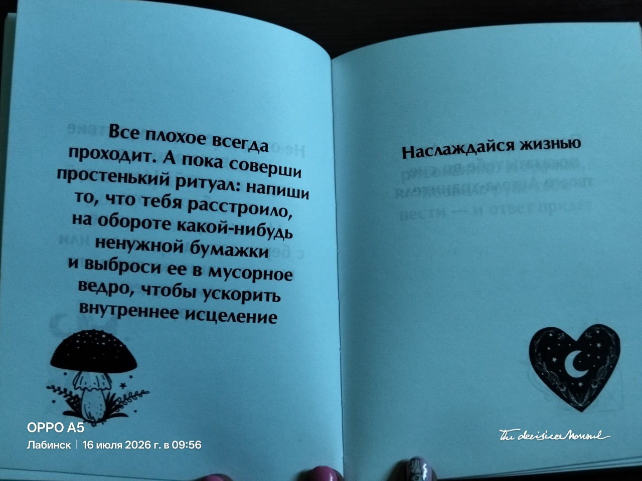 Илькевич Екатерина в LOOKY — 🌿 Прогноз на 16 июля:
Сегодня — идеальный день для того, чт