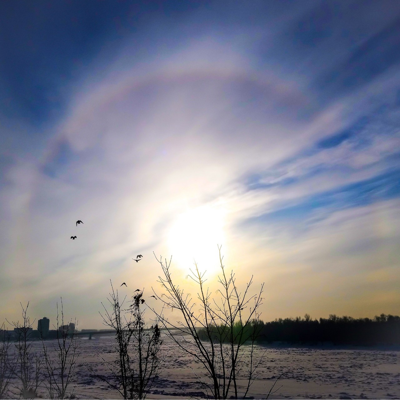 Омск. 2021 г.
#naturephotography #urbanphotography #городскойпейзаж #омск #photorussia #путешествие #иртыш #landscapes #небо [#сибирь](сибирь) #skyphotography #russia [#красота](красота) #artphotography #небо #фотография