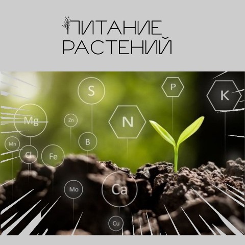 starskara в LOOKY. . Продолжим тему подко...