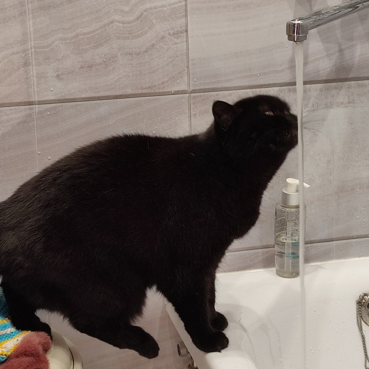 gostinnaknitting в LOOKY — фото 1