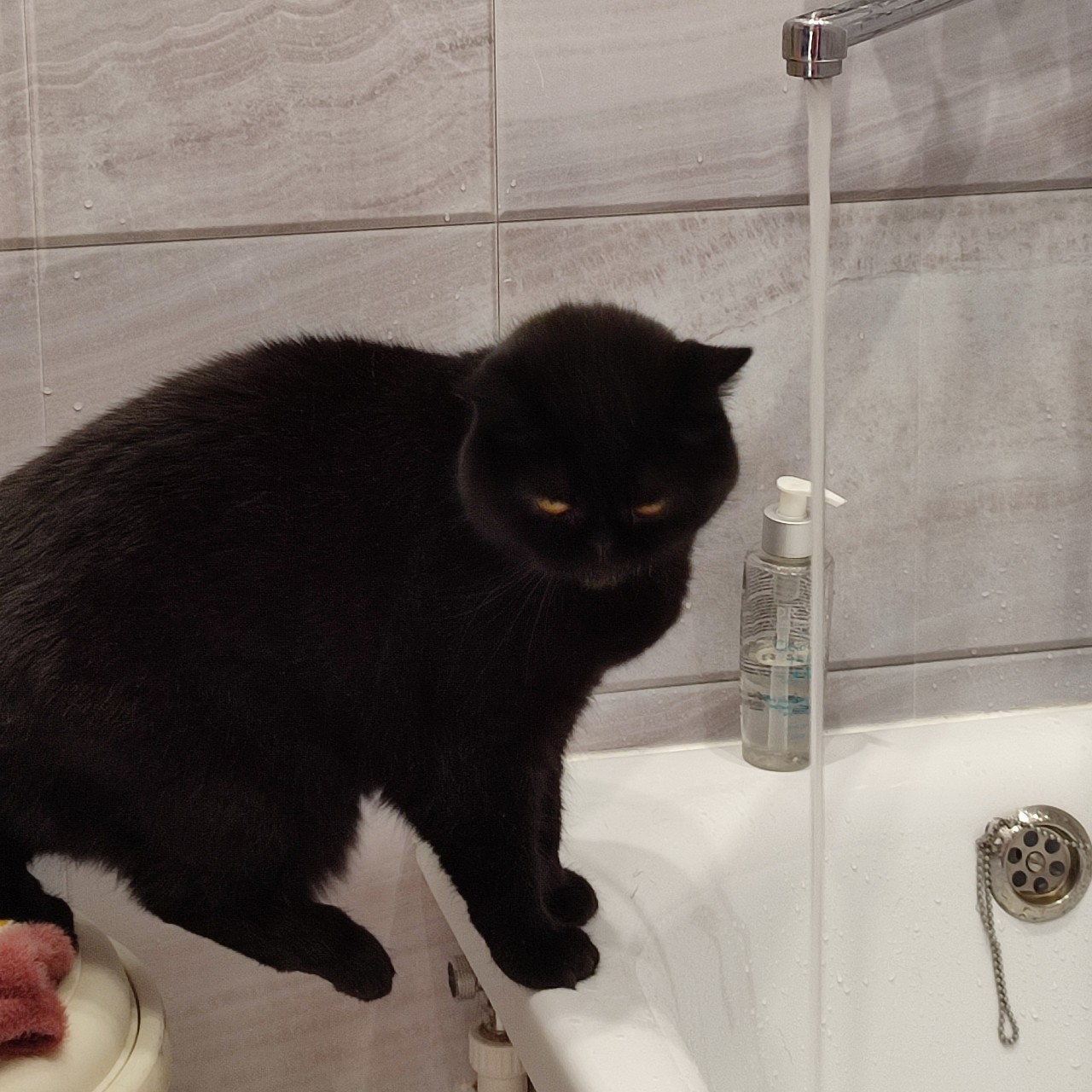 gostinnaknitting в LOOKY — фото 2