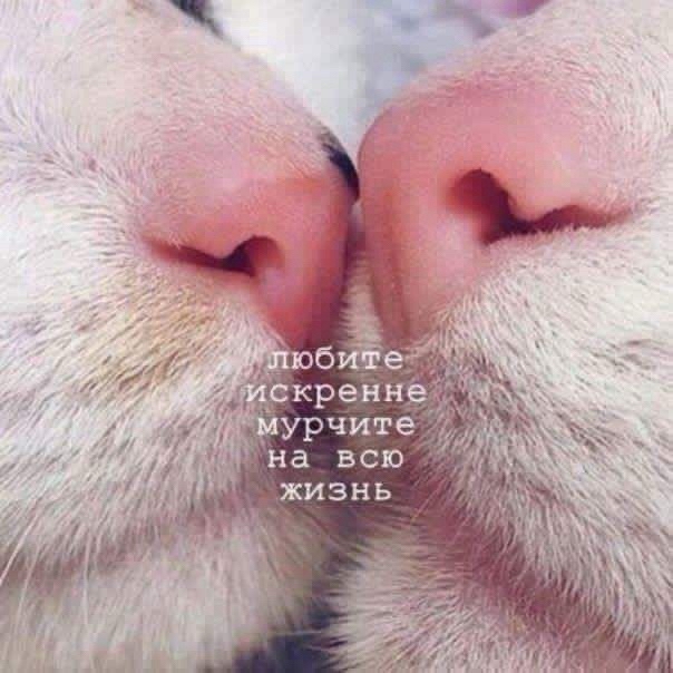 julija_maksimova в LOOKY — [#happyvalentinesday](happyvalentinesday) 