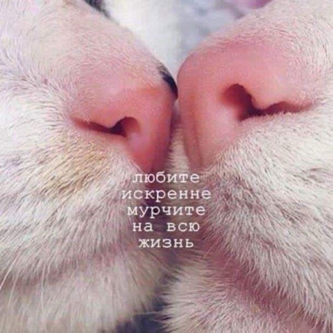 julija_maksimova в LOOKY. . [#happyvalentinesday...