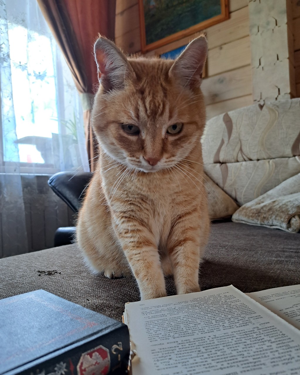 fatinya19488 в LOOKY — фото 5
