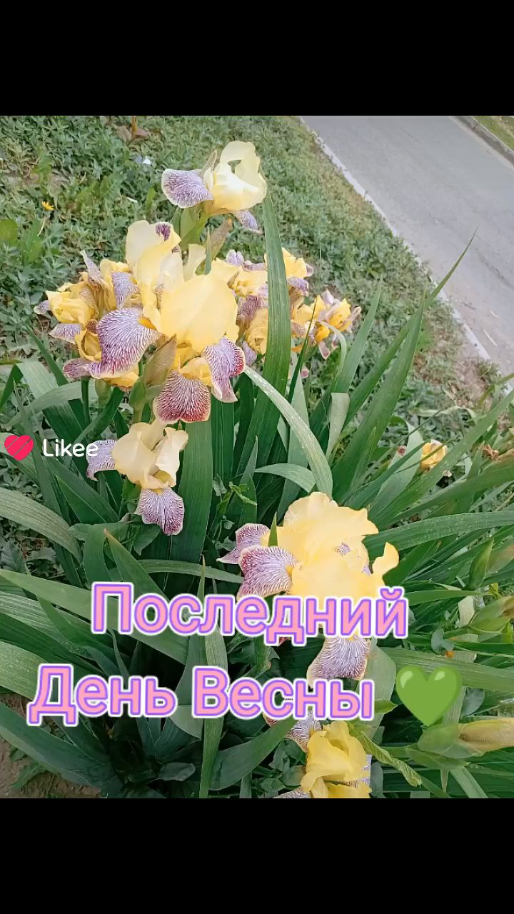 Looky_177661497646816 в LOOKY. . 