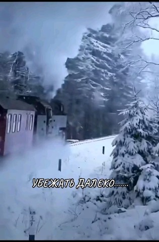 moirai20082014 в LOOKY. #2024год. #2024год
