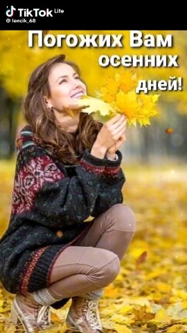 Looky_174367230405379 в LOOKY. . 