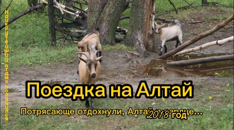 Беру и делаю в LOOKY. . Нашёл кучу фото, с н...