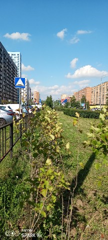 Olguita в LOOKY. . 