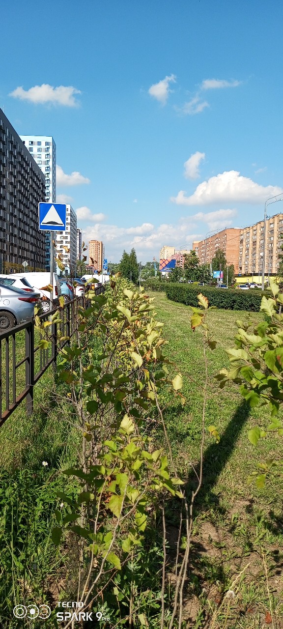 Olguita в LOOKY — публикация