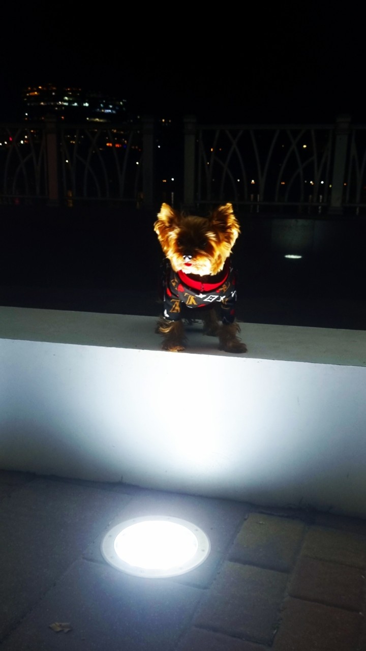  в LOOKY — фото 5