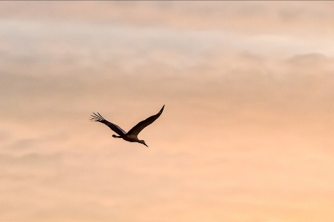 Alessandro в LOOKY. #amm78,#фотонателефон,#мобильноефото,#HuaweiPura70Pro,#HuaweiXMAGE. #amm78 #фотонателефо...