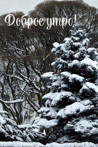 Looky_1670341578322 в LOOKY. . 