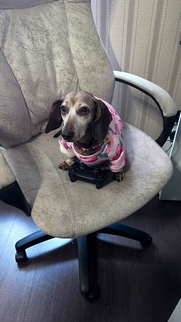 Nora the gamer