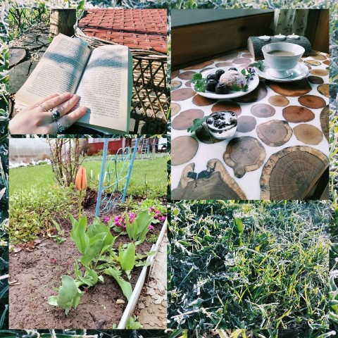 Olgaf314 в LOOKY. #reels,#mylife,#weekend,#myweekend,#weekendtime,#weekendvibes,#vibe,#goodvibes,#lifestyle,#дача,#поездка,#поездкавыходногодня,#дачныйвайб. Апрельские выходные ...