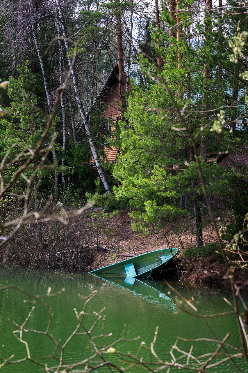poboruev_landscape in LOOKY