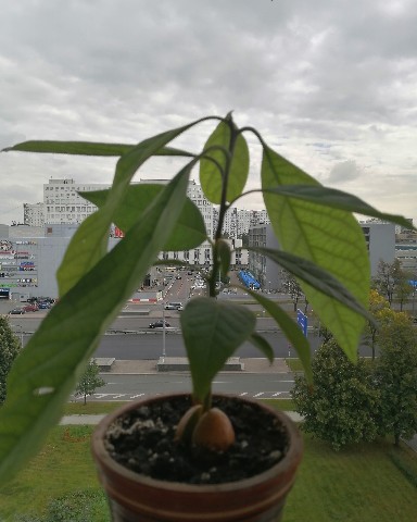 vik_toriyafl в LOOKY. . Кожаная моя не разре...