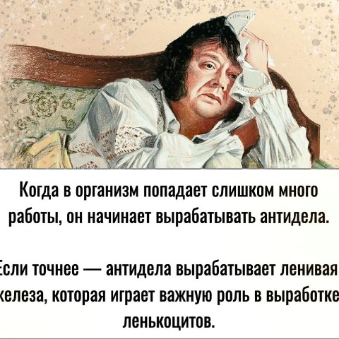 gera.nb в LOOKY. . 