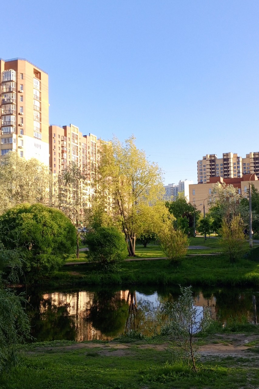 Olguita в LOOKY — публикация