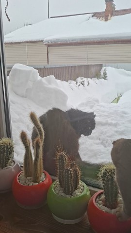 Аня__Looky в LOOKY. . Друзья!С Днём Влюблё...