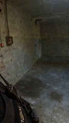  в LOOKY — публикация