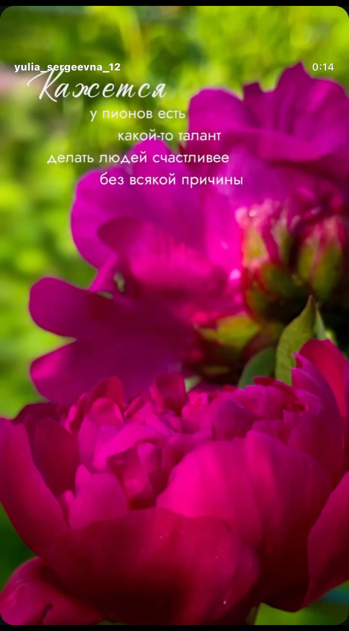  в LOOKY — публикация