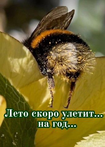 Looky_178594700391395 в LOOKY. . 