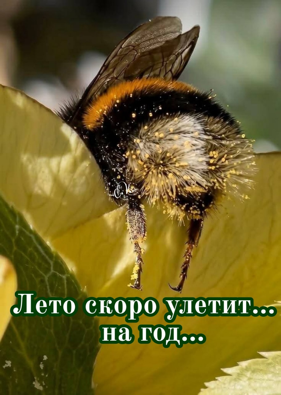 KEVochka в LOOKY — публикация