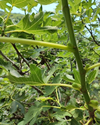 a_karambola в LOOKY. . Многие из вас любят ...