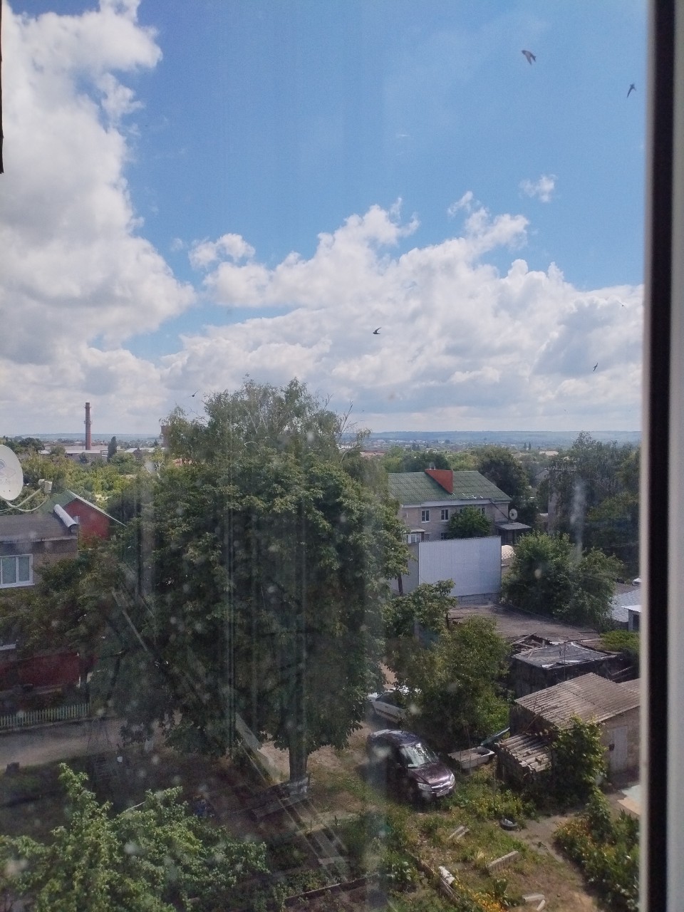Багира Ирэн в LOOKY — Красивый вид из окна
