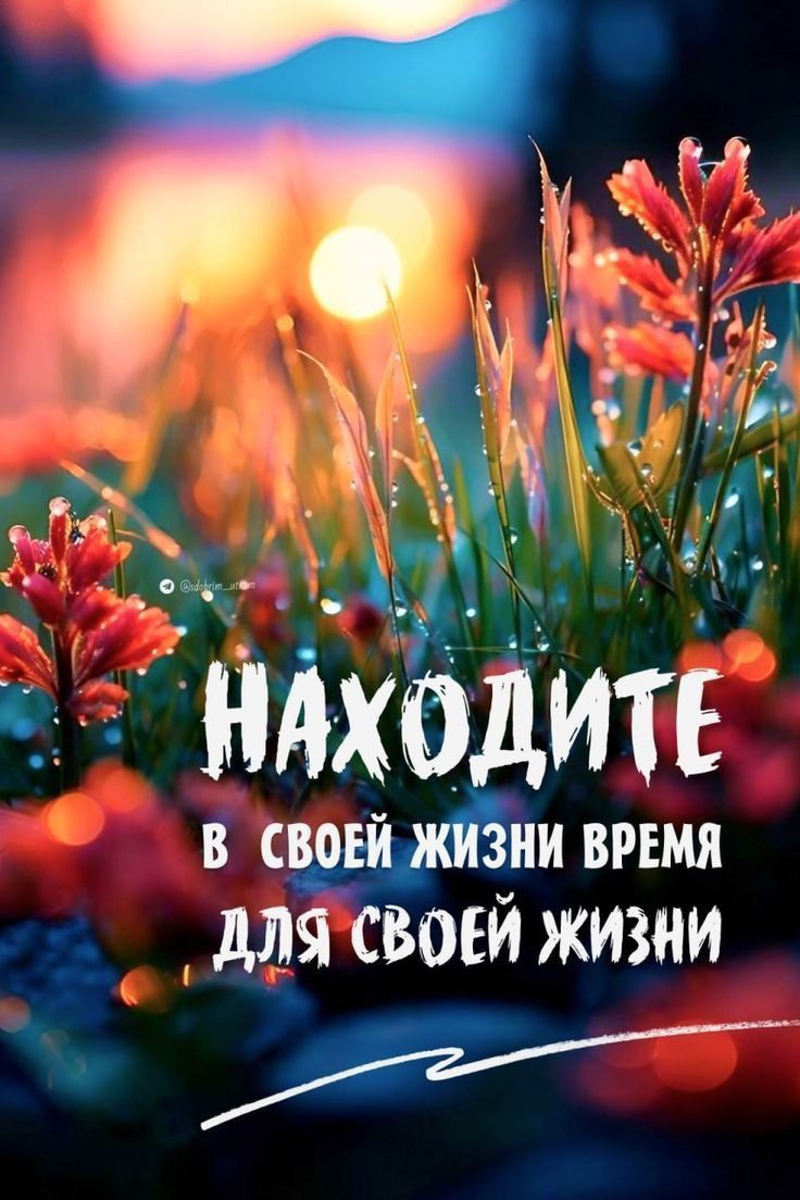 Алия в LOOKY — публикация