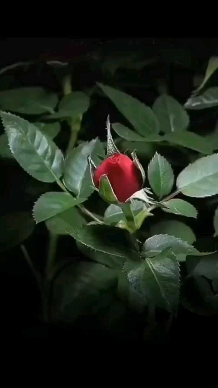 Svet_ya_ в LOOKY — 🌙🌆Прекрасного и уютного вечера! 
Среда — это отличный рубе