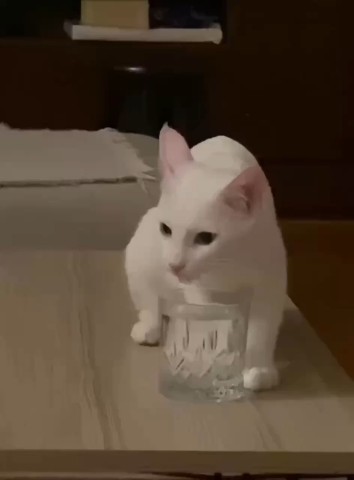  в LOOKY — Хорошего вечера 🥰
