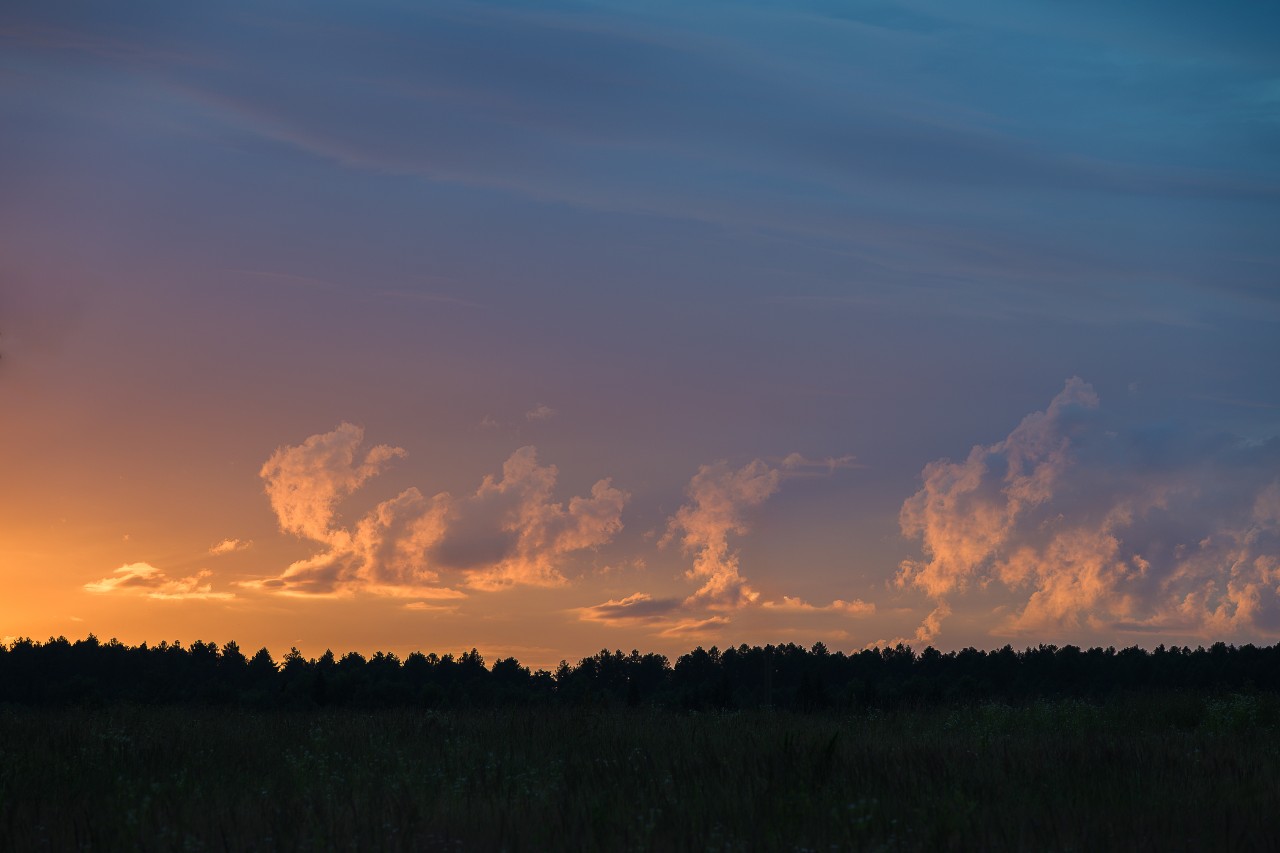 poboruev_landscape in LOOKY