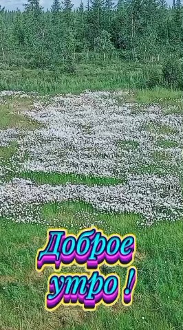 Темный Рыцарь в LOOKY — публикация