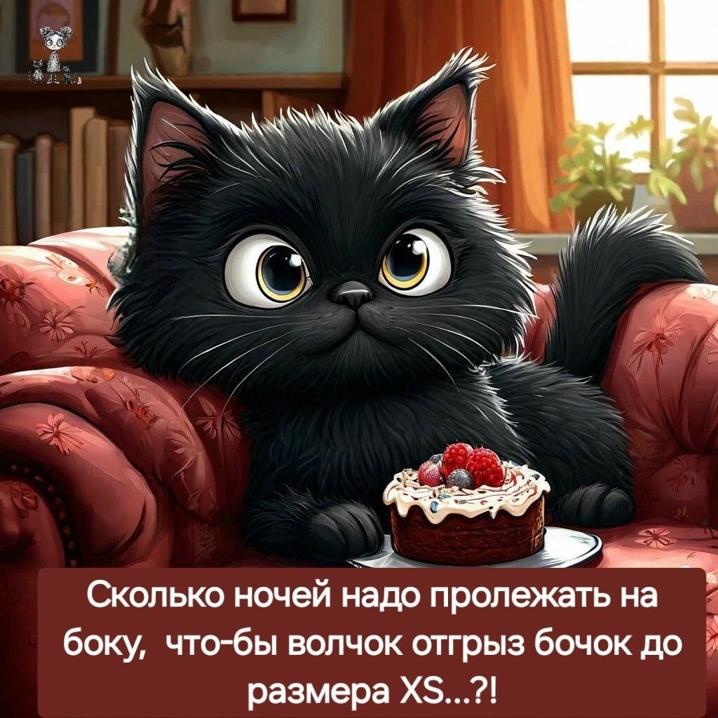 Looky_172474682274795 в LOOKY — публикация