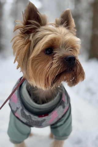 ivashka_yorik в LOOKY. . 
