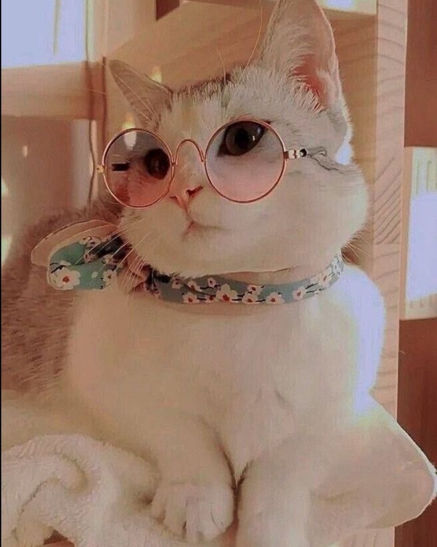 murzikpushistova в LOOKY — Лето, Ах лето...