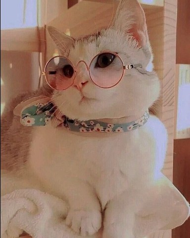 murzikpushistova в LOOKY. . Лето, Ах лето...