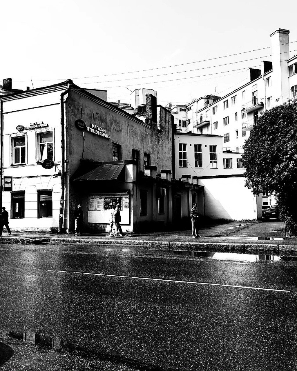 krasniiy_krokodil in LOOKY