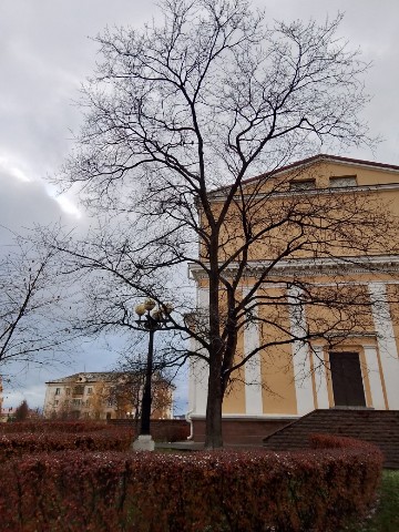 Looky_172547651645288 в LOOKY. . Осенняя природа.🍂 У...