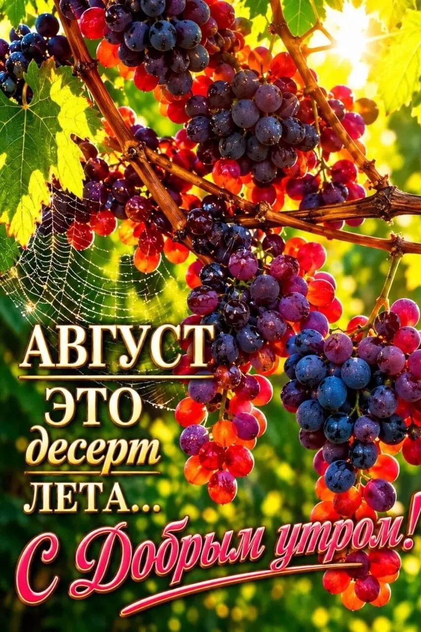 Сириус в LOOKY — публикация