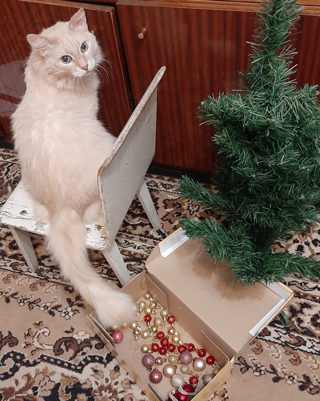 Элана Грекова in LOOKY. . 