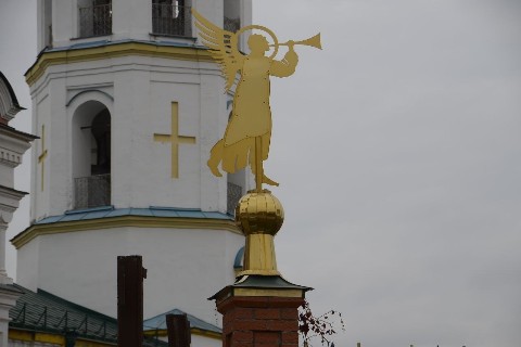 кошка ТЕОРЕМА в LOOKY. . 