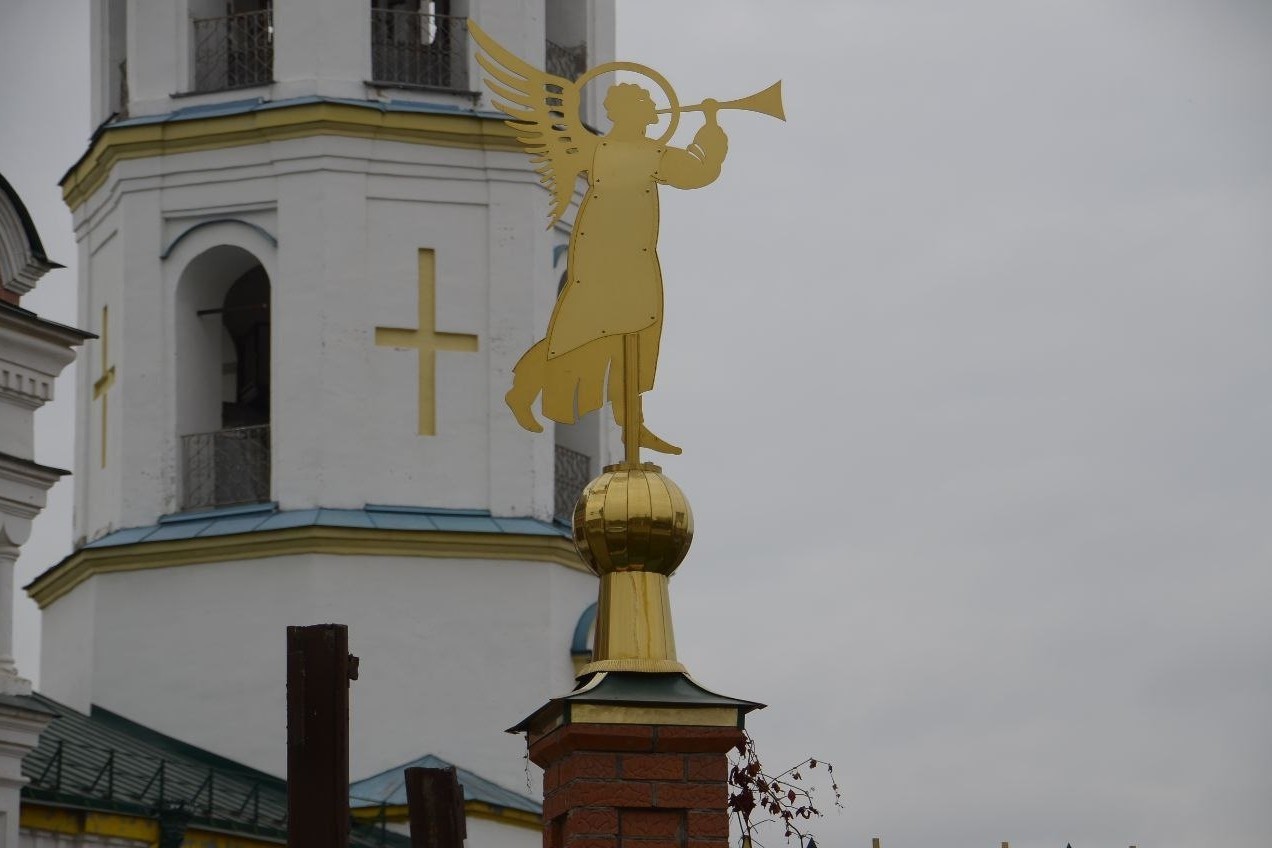 кошка ТЕОРЕМА в LOOKY — публикация