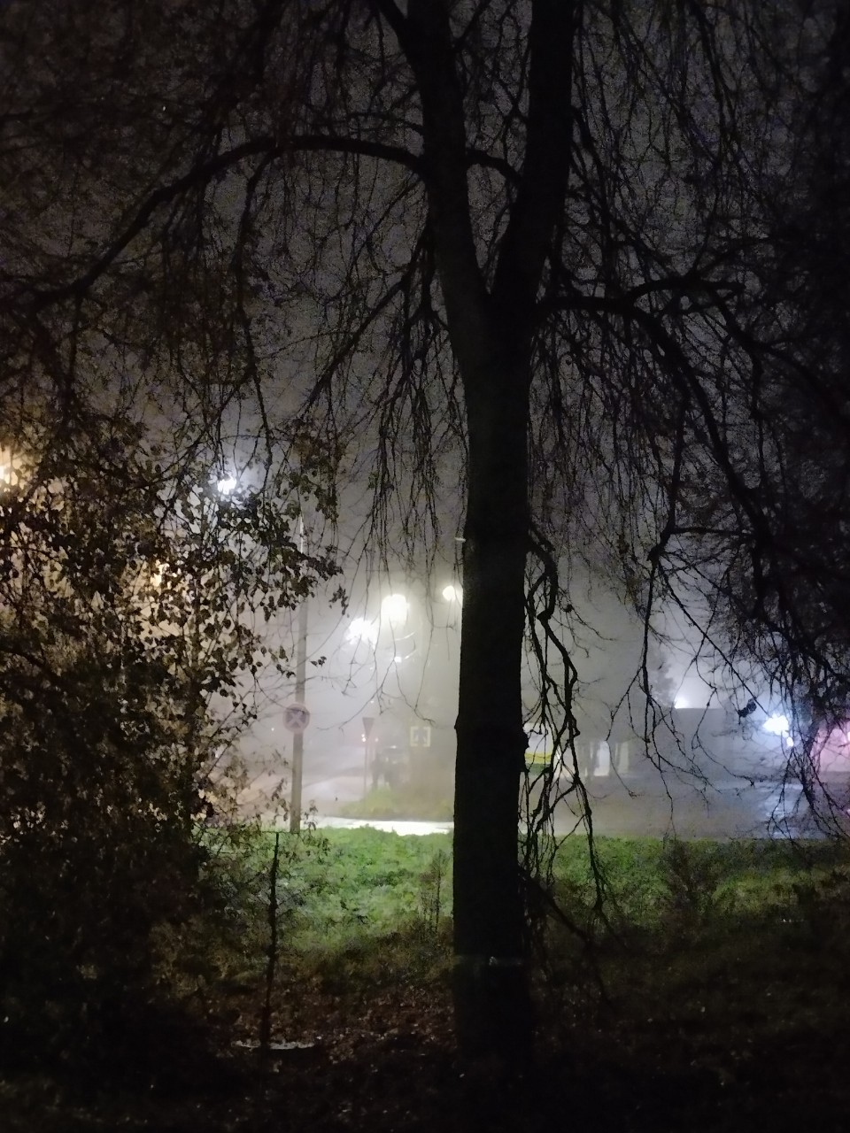 olga.ivanova77 в LOOKY. #октябрь,#туман,#вечер,#пейзаж_ои. Всем доброго вечера!...