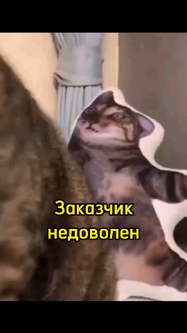 Смешные видео в LOOKY. #любовь,#мило,#смешно,#смех,#умора,#юмор,#ржака,#смешноевидео,#смешное_видео,#видео,#топвидео,#прикол,#приколы,#ржунемогу,#ржач,#шутка,#шутки,#позитив,#топ,#лучшее,#весело,#веселье,#животные,#питомцы,#игра,#котики,#котик,#милашки,#милота,#милоисмешно,#мило_и_смешно,#кот,#кошка,#котэ,#смешныеживотные,#смешные_животные,#милыеживотные,#милые_животные,#милыепитомцы,#мем,#милые_питомцы,#домашниепитомцы,#домашние_питомцы,#домашниеживотные,#домашние_животные,#угар,#угарно,#тренд,#втренде,#подборка,#рекомендация,#рекомендации,#доброеутро,#времялюбви,#looky,#lookylove,#cats,#cat. Подарок не оценили

...