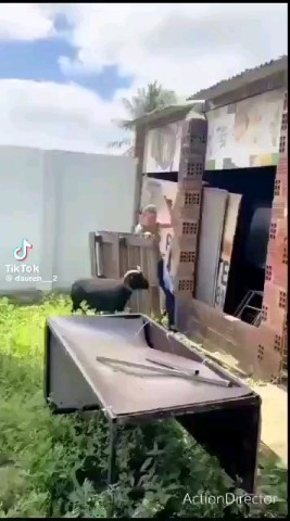 Looky_1721068174318 в LOOKY. . Видео от Анжелы