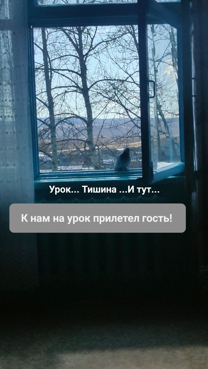 allustinov в LOOKY. . Урок... Тишина... И ...